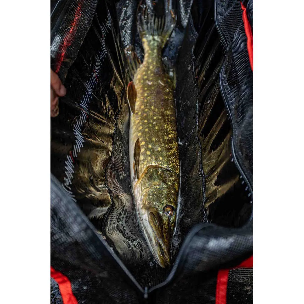 KORUM Saco De Banco Y Barco 10 KORUM Saco De Banco Y Barco - Imagen 8